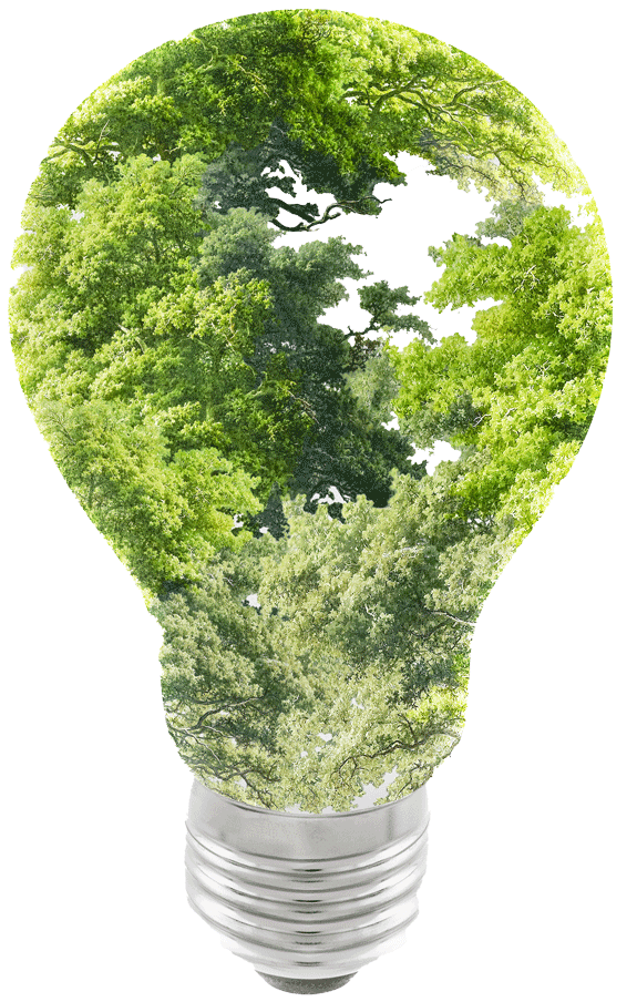 sustainable energy campaign tree light bulb media